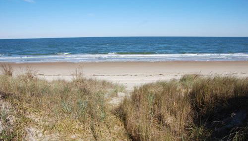 Old Time Beach Front Cottage - The Beach is your Backyard! Pet Friendly cottage - Foto 3