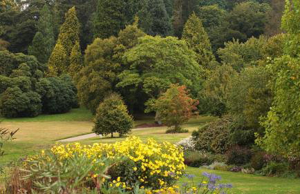 Birch House Studio - Foto 37