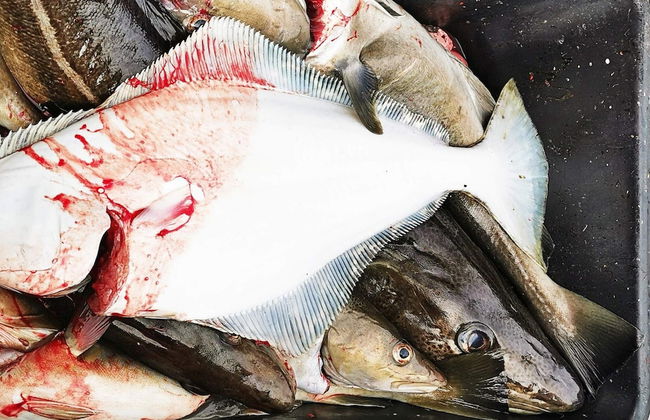 Holiday Home in Rebbenes - Foto 31