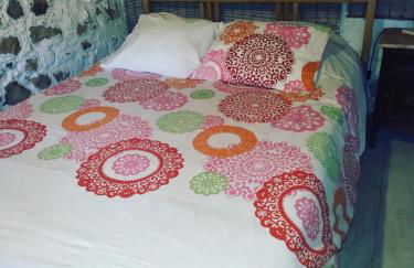 Palheirinho - Foto 1