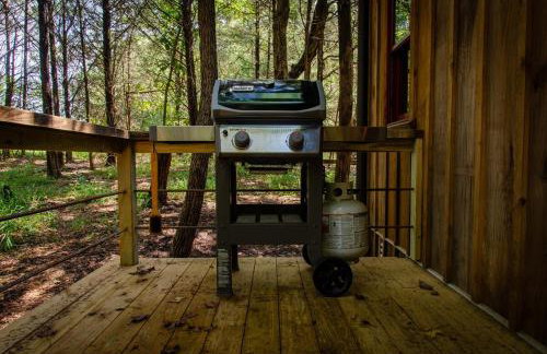 Cabin on Seven Acres with a Pond - Foto 14