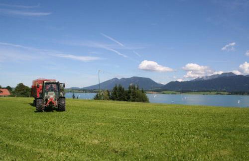 Salenberghof Ferienwohnung Traumblick - Foto 18