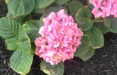 Charming home in Derby city - Foto 35