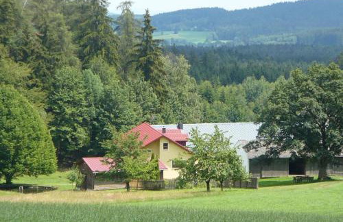 Ferienhof Stöhrmühle - Foto 79