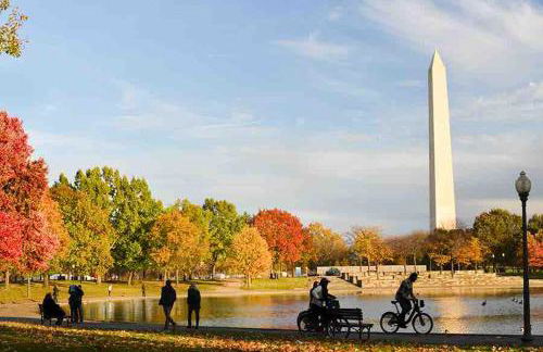 ComfiNook Stay in Capitol HillWalk to DC Sites - Foto 9