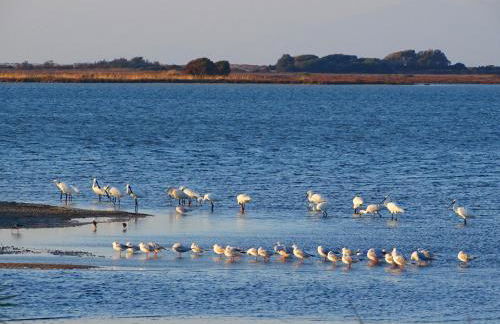 Vissala Village - Foto 79