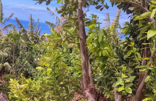 Typical Farm Apartment - Foto 15