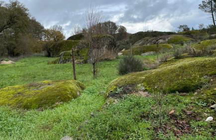 Casa dos Moinhos de Aveia - Foto 21