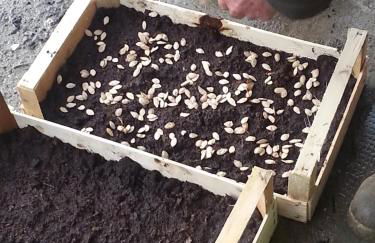 Agriturismo Fioredizucca - Foto 14