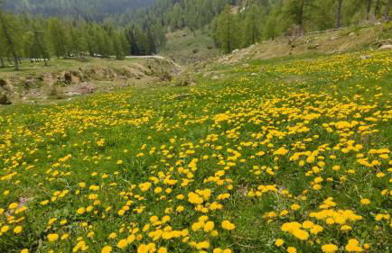 CASA IDA - ClPAT 22253 - Photo 44