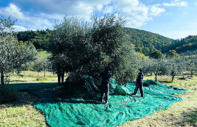 Agriturismo Podere La Paolina - Foto 67