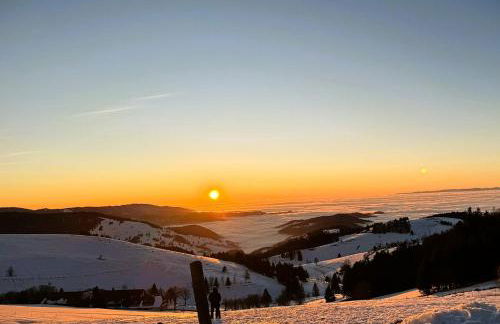 Schwarzwaldhimmel - Foto 38