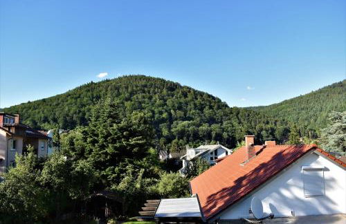 FVH Family Vacation Heidelberg - Foto 24