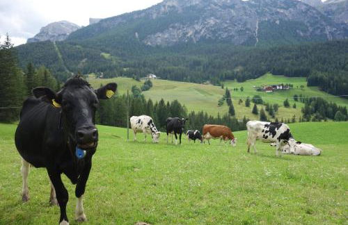 Agriturismo Anví - Photo 28