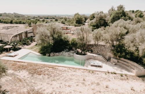 N a k e d S o l - Foto 22