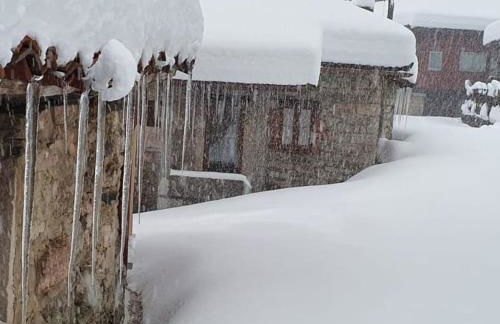 APARTAMENTOS RURALES EL PRIVILEGIO - Foto 78