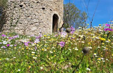 ΑΓΝΑΝΤΙΟ μεζονέτα 110 τ.μ. - Photo 35