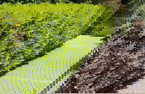 Green Village Kotor - Foto 74