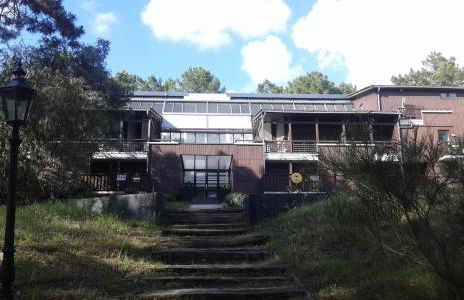 T2 duplex CARCANS Maubuisson vue pins situé au 129 avenue Maubuisson - Foto 8