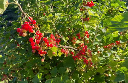 Behagliches Haus mit Kamin - Foto 32