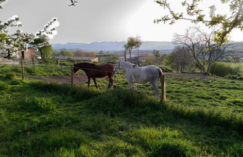 LES ROVILES - Foto 21