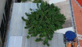 Casa aconchegante bem localizada - Foto 4