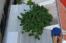 Casa aconchegante bem localizada - Photo 4