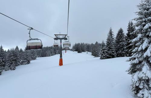 Mitten auf dem Feldberg Panorama Apartment Bergglück - Foto 30