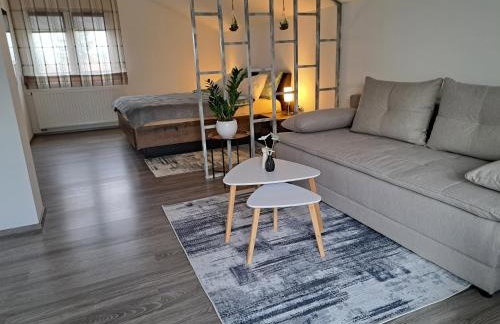 Apartmani Habibi - Foto 45