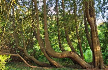 Wohnung Waltraud - Foto 34