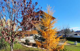 Il giardino di Anna - Appartamento 1 - Foto 18