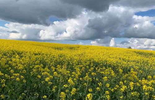 Beautiful Apartment Wendens Ambo - Foto 30