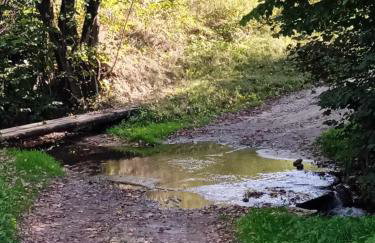 Bieszczadzkie Wzgórze Saunowe- Jacuzzi i Sauna w cenie pobytu - Foto 55
