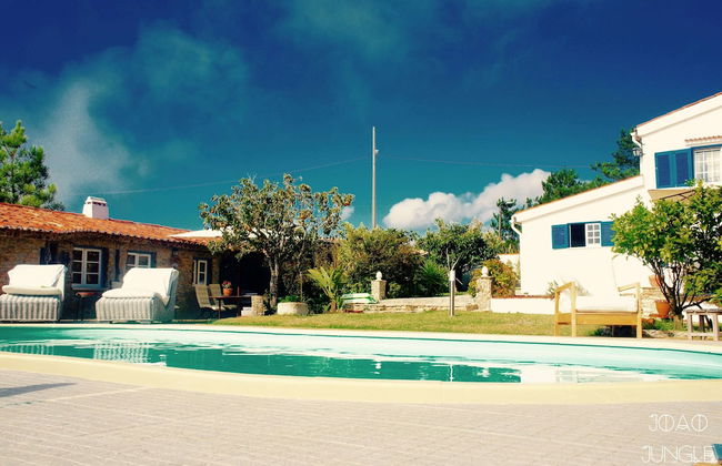 João Jungle - Foto 47