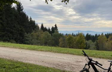 Traumblick Bayerischer Wald, Pool & Sauna, Getränke, Klimaanlage - Foto 32