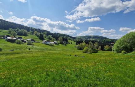 Two Apartaments Almberg - Mitterdorf-Mitterfirmiansreut - Foto 40