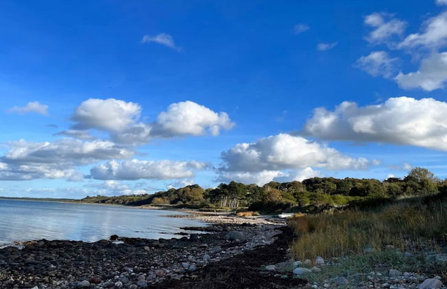 8 Person Holiday Home in Asnaes - Foto 47