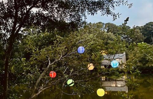 Paradise Oasis - Foto 11