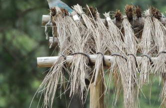 Chácara Ofá, seu refúgio na Serra de MG - Foto 26