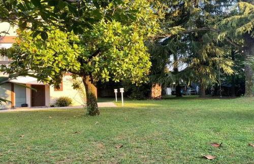 Il dado verde - Photo 14