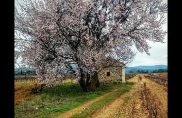 La Bastide des Vasses "Le Loft" - Foto 21