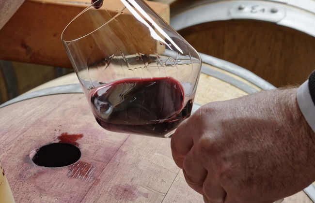 Visita alla cantina Quattrocieli - Foto 1