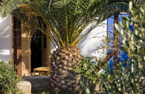 Studio Filoxenia - Foto 6