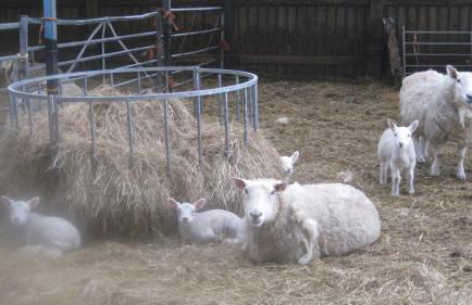 Riding house Farm Cottages - Photo 16