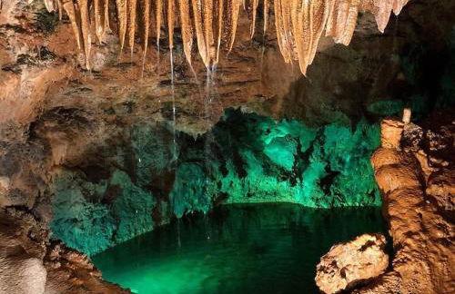 Sitio Terra do Loureiro - Foto 46