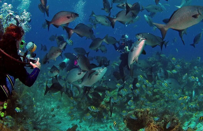 BUCEO: La exploración submarina de Kallithea - Foto 19