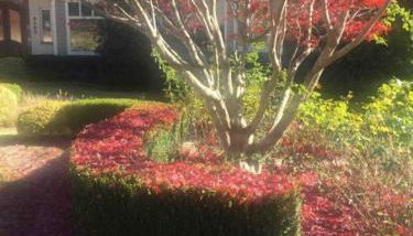 Luxury Villa in Cary - Raleigh - Foto 4