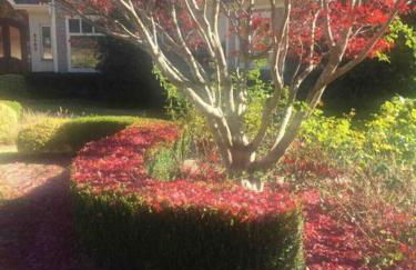 Luxury Villa in Cary - Raleigh - Foto 4