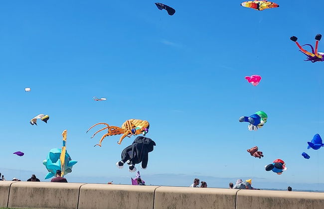 2 bed Apartment 5min From sea in Bare Morecombe - Foto 11