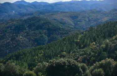 Gite très belle vue au cœur des Cévennes - Foto 16